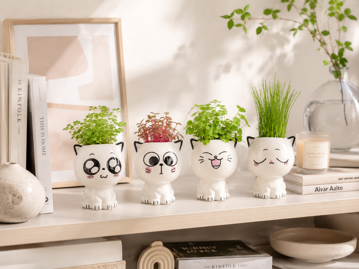 Pack Colección Completa KittyPots