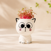 Neko