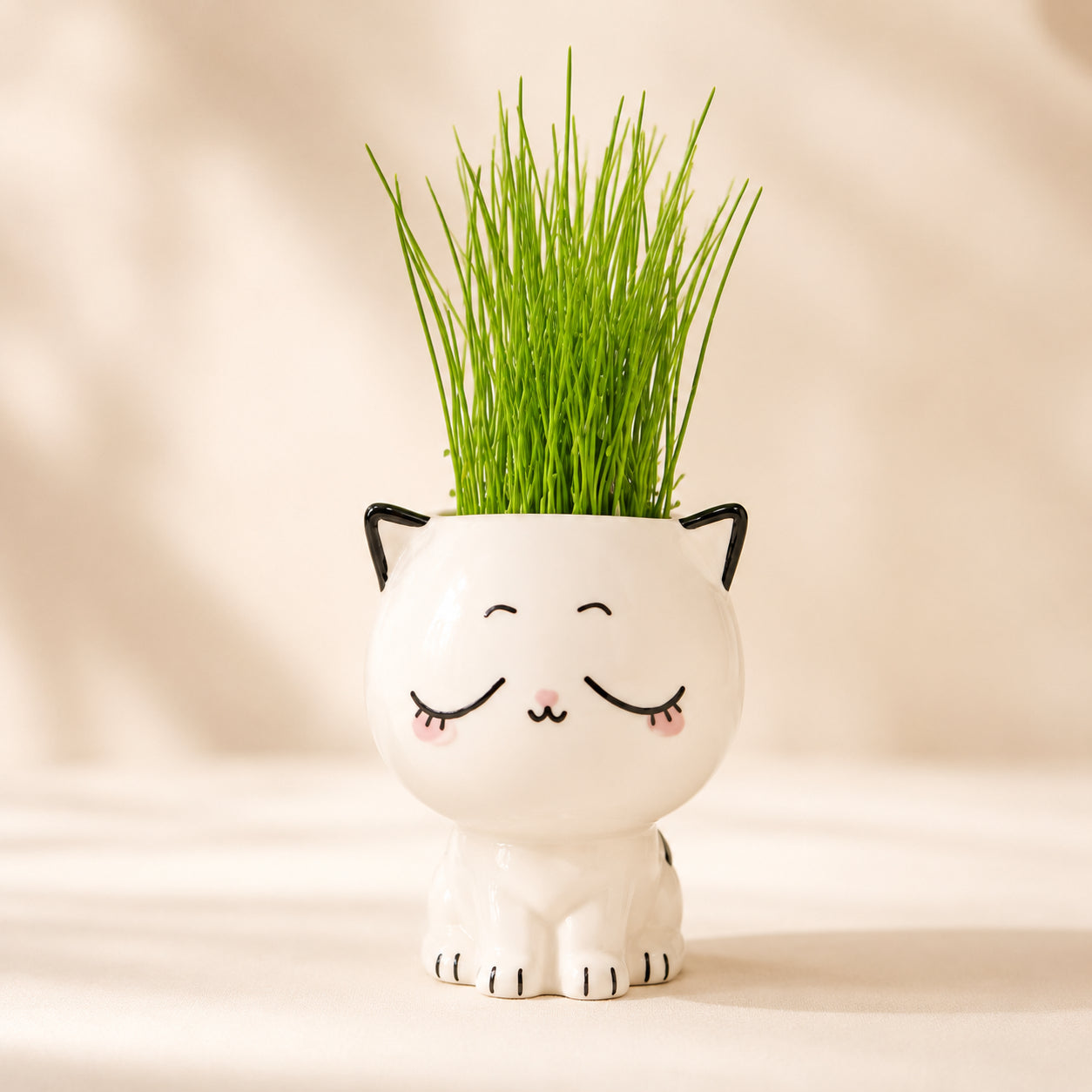Zen